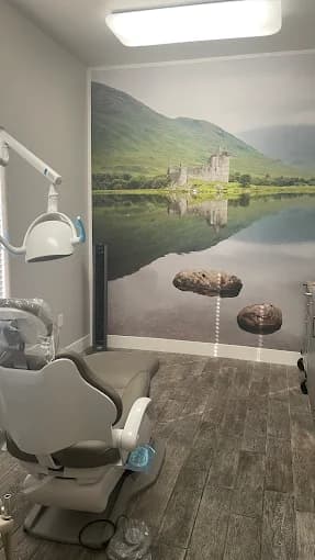 AK Ultimate Dental exam room with scenic mural and modern equipment